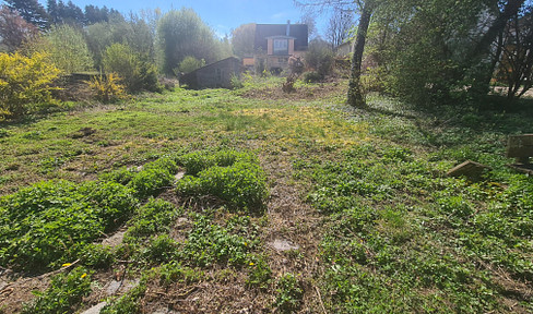 2 plots of land in Bad Waldsee.