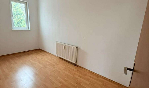 3 Zimmer Wohnung im Zentrum von Siegendorf