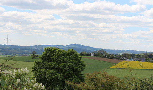 Wohnen mit unverbaubarem Weitblick ins Grüne