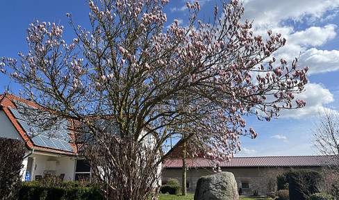 A house suitable for one or two families, located on a large plot of land.