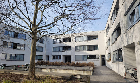 No commission: Apartment for sale in Munich, near Hirschgarten.