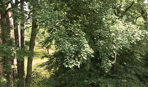 Beautiful apartment in a central, green location in Eppendorf.