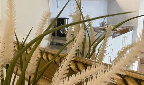 Stylish, furnished one-room apartment for single occupancy, located near the Japanese Quarter.