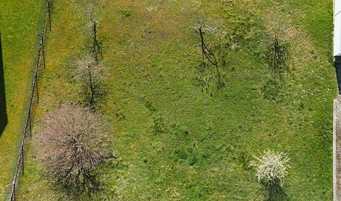 Rare opportunity in Eberstadt – Spacious building plot, without any obligation to build, and commission-free!