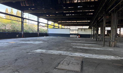 1.000-3.000 qm ebenerdige Hallenfläche mit Deckenkränen