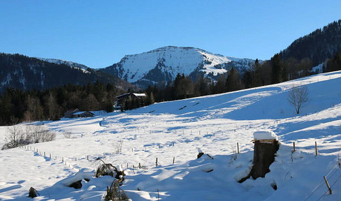 Private sale: 4-room apartment with unobstructed views of the Hochgrat mountain, located on the outskirts of Steibis.