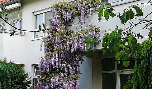 Wohnung im Grünen