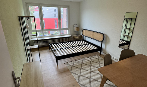 vollmöbliertes WG Zimmer in Top Lage in Mainz mit Balkon