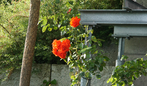 Renovated two-family house (2021) in a quiet location in Herrenberg.