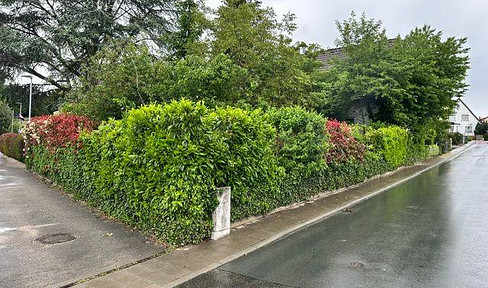 HG Ober Erlenbach: 276 square meters of land for a detached house.