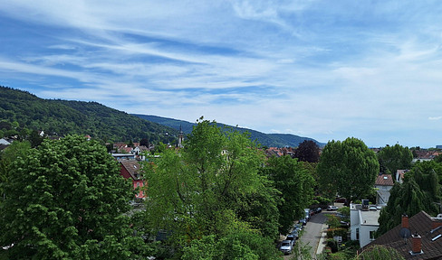Accessible and air-conditioned, offering a southwest-facing view over the rooftops of Handschuhsheim.