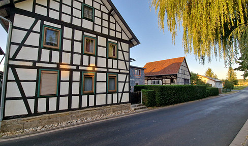 House with a large garden and fruit trees, located in a rural area, on the edge of a quiet village.