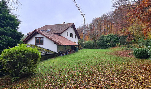 charmantes 1-Zi-Appartement mit Küche & Terrasse direkt am Waldrand in Eisingen (Enzkreis)