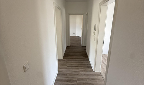 3-room apartment - newly renovated - new fitted kitchen.