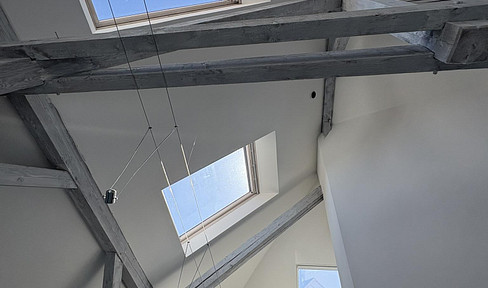 Außergewöhnliche DG-/Maisonettewohnung im Zooviertel – Großzügiges Wohnen, Blick in die Eilenriede