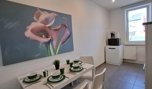 Ready-to-move-in 2-room apartment, conveniently located near Fürth City Park.