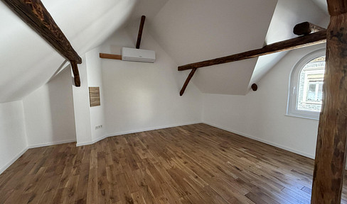 Klimatisierte Wohnung - Erstbezug nach Kernsanierung