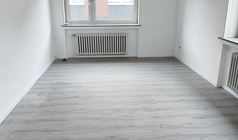 Brand new apartment, recently renovated, 2 rooms.