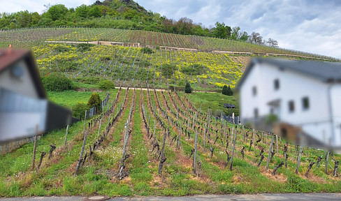 933 m² Baugrundstück - Südlage in 53474 Heppingen