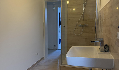 Modernisierte großzügige 3-Zimmer Wohnung