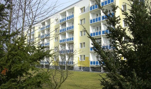 Green, quiet, bright, 2-room apartment, located near Fort Hahneberg, with a west-facing balcony.