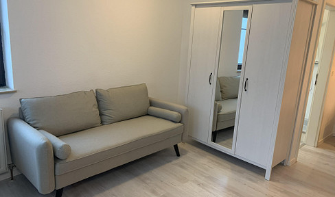 Renovierte und möblierte 1-Zimmer-Wohnung  mit Einbauküche und TV in Ludwigsburg – Pflugfelden