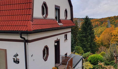 Doppelhaushälfte in Waldnähe am Stadtrand von Aue