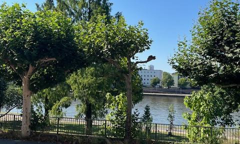 TOPLAGE ! Helle, sanierte 2-Zimmer Wohnung mit Mainblick