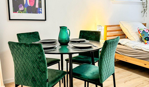 Stilvoll möblierte 1-Zimmer-Wohnung in Nürnberg-Johannis