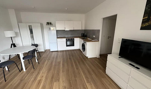 Furnished 2-room apartment in Augsburg - First occupancy after renovation.
