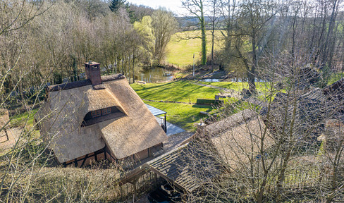 Reetdach - Anwesen in Alleinlage voll möbliert, 7315 qm Parkgrundstück Reetdachhaus See Teich Haus