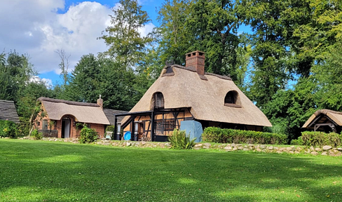 Thatched-roof house - Property in a secluded location, fully furnished, with a 7315 square meter garden. Thatched-roof house.