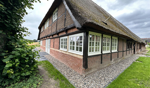 High-quality, brand-new apartment in a completely renovated farmhouse – a maisonette with a thatched roof, located on the Elbe river embankment.