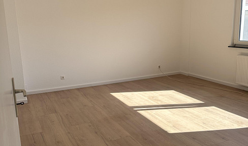 Bright, newly renovated 2-room apartment in a prime location in Mannheim.