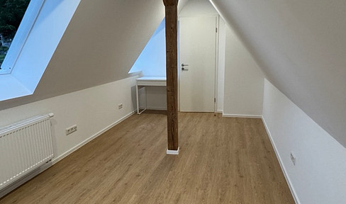 New construction - 4-room apartment, completely renovated, with a garden (suitable for couples or families).