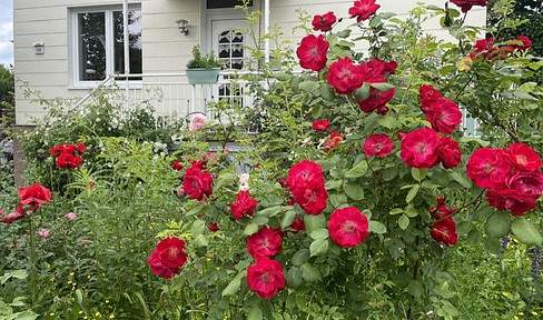 Renovated, historic villa with 7 rooms in Weidenau.