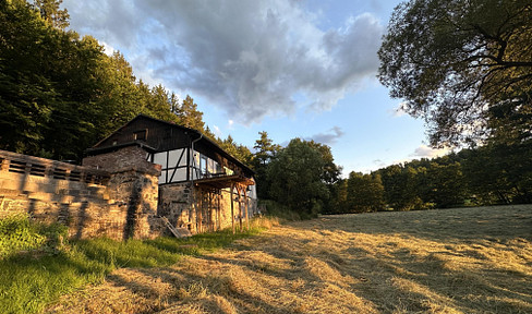 3-Zimmer-Wohnung in idyllischer Alleinlage in Groß-Bieberau – Natur pur