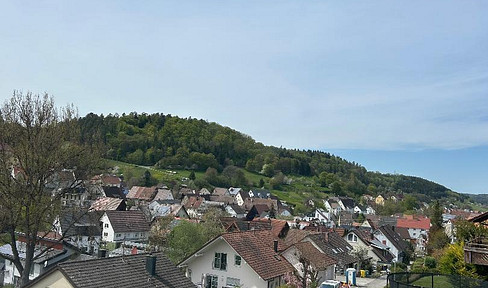 Möbliertes 2-Zimmerappartement mit traumhafter Terrasse zum Komplettpreis