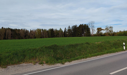 2 Felder in guter Lage- Grammelkamer Wald
