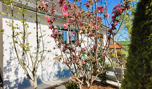 Seeblick - Einfamilienhaus in Absberg am Brombachsee
