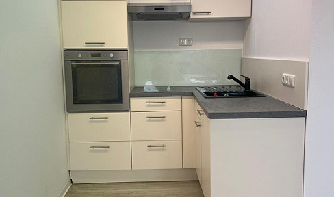 One-room attic apartment with fitted kitchen, bathroom, and hallway.