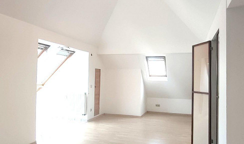 Exceptional maisonette-style apartment with a fireplace, 2 bathrooms, and the potential for 4 rooms, covering approximately 100 square meters.