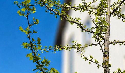 ***WHERE HAPPINESS LIVES – THE GINKGO TREE WARMLY WELCOMES YOU!***