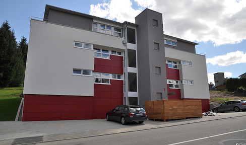 4-Zimmer Wohnung in Aldingen