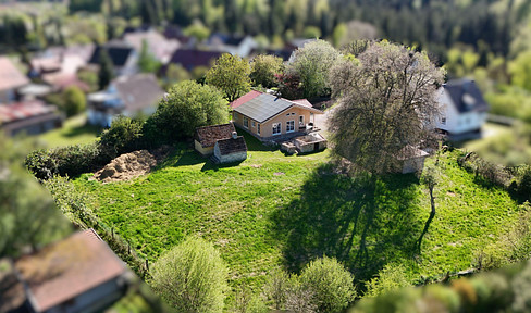 Environmentally friendly solid wood bungalow with a stunning plot of land in a natural setting.