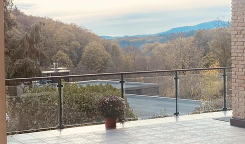 Wohnung mit Blick auf Burg und Woogtal