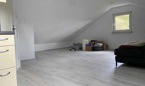 Charming one-room attic apartment with fitted kitchen in Schwanfeld.