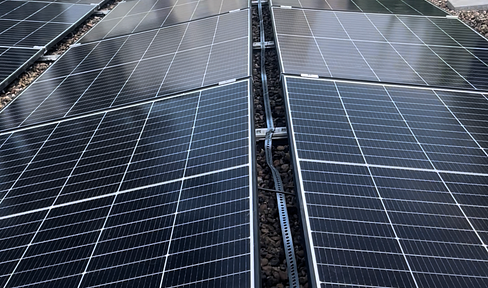 Exclusively renovated bungalow (2023) with solar panels and smart home features | High-quality living in a quiet location.
