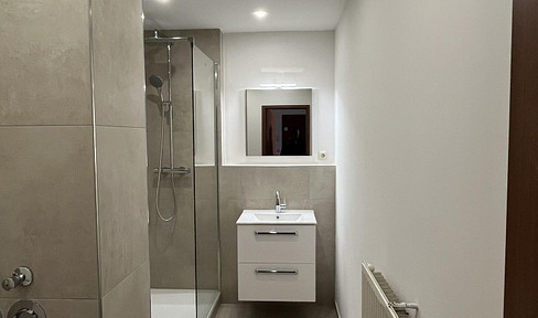 Renovated, bright 2-room apartment with balcony and underground parking space.