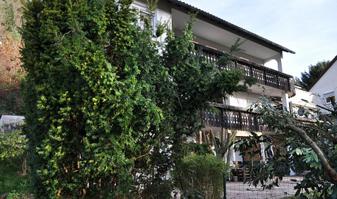 6.7%+ Return | Multi-family building (9 apartments) | Panoramic views of the castle in Bad Liebenzell.